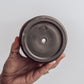 Slate Tree Ring Planter